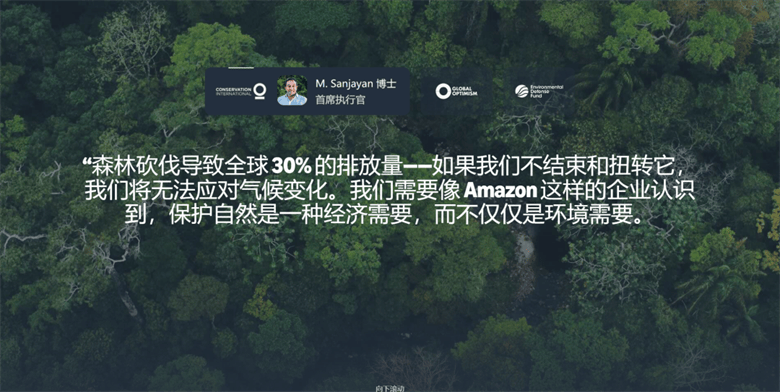 亚马逊碳信用服务上线!跨境卖家抢跑绿色新赛道