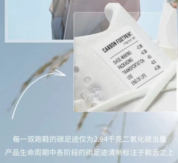 Allbirds——以极致的低碳构筑品牌核心竞争力